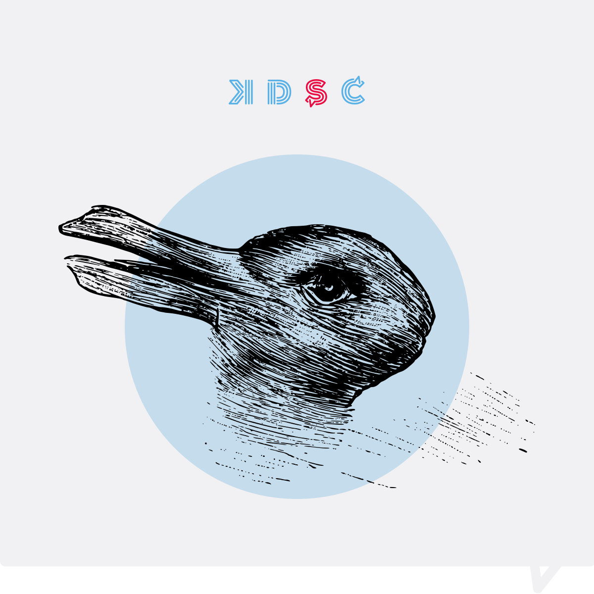 KSDC-rabbit-duckLI