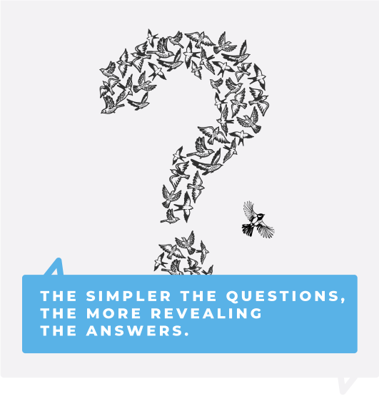 kdsc-simple-questions-2